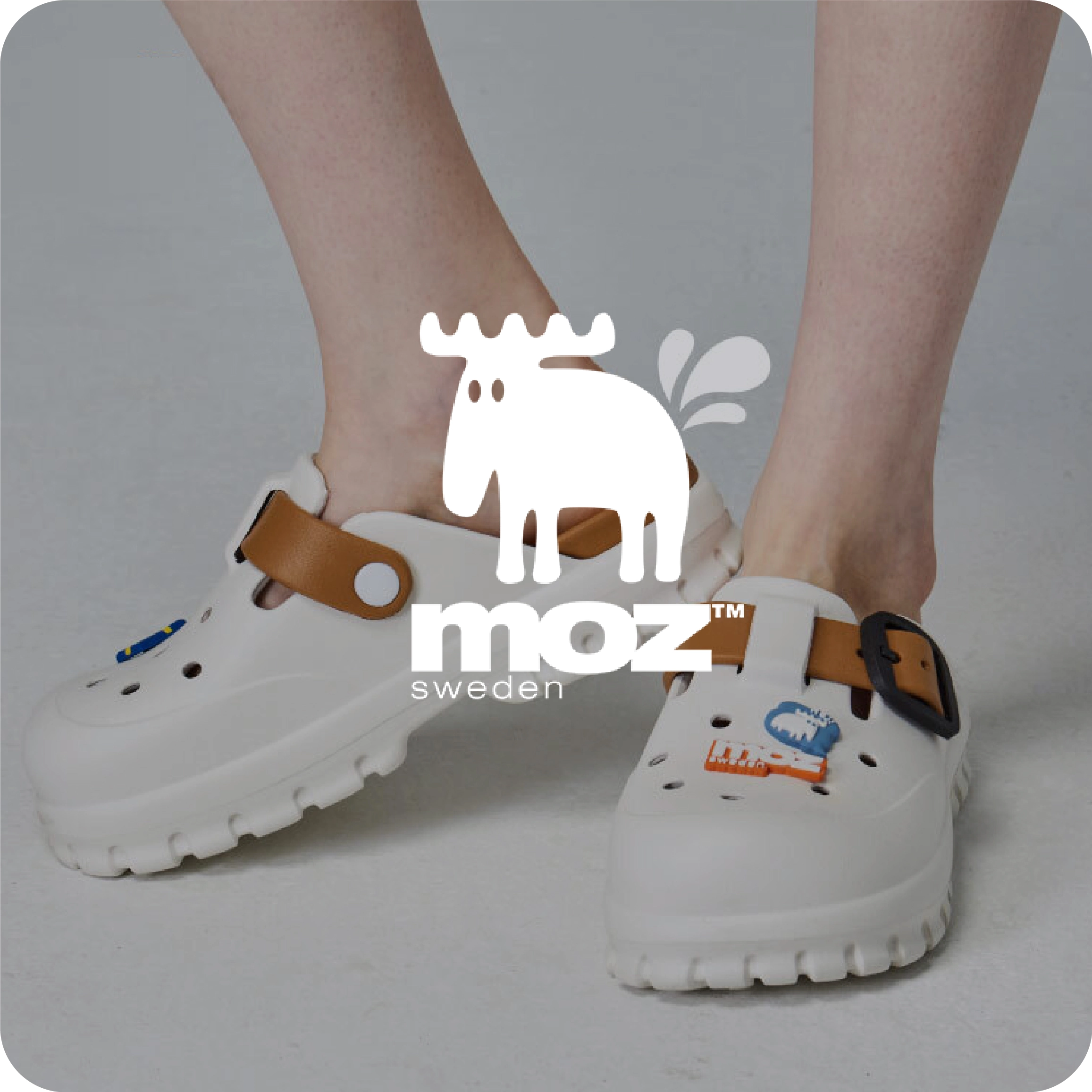 MOZ瑞典駝鹿 廣告投放